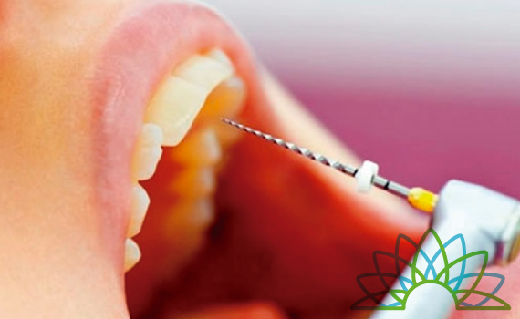 SUNFLOWER DENTAL CLINIC