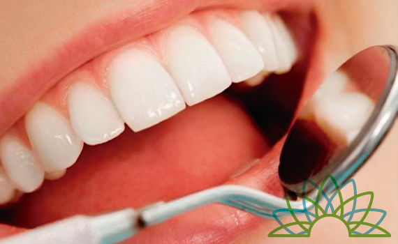 SUNFLOWER DENTAL CLINIC